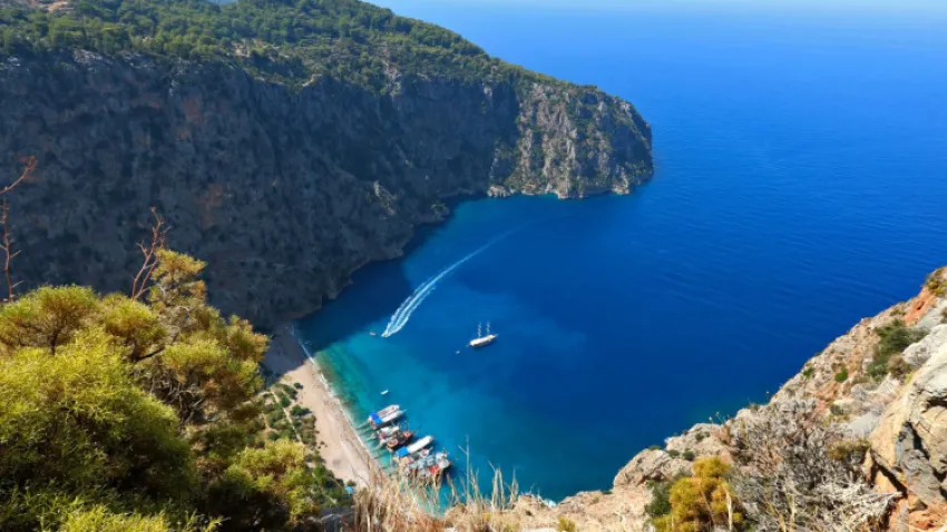 KABAK KOYU