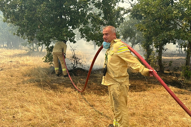 Bulgaristan sınırında orman yangını! haberinin görseli