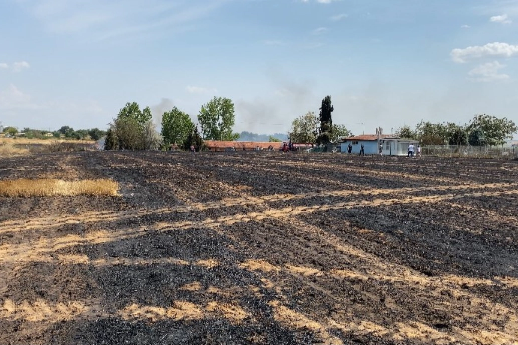 Yangın Edirne’de 500 dönüm araziye zarar verdi