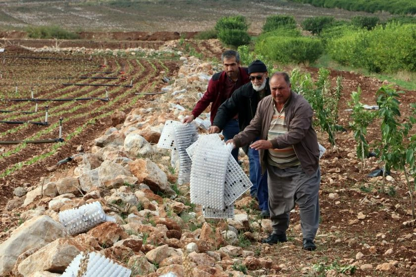 Tarımsal atık nedir? İzmir’de tarımsal atık daha çok nerelerde oluşuyor? Tarımsal atık nasıl önlenebilir?