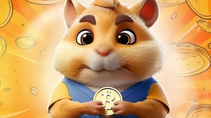 hamster