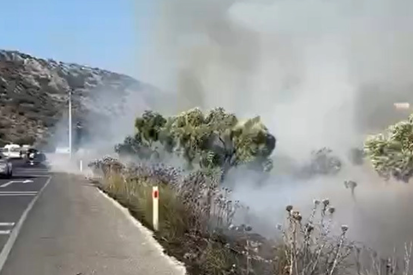 Milas-Bodrum karayolunda zeytinlik yangını haberinin görseli
