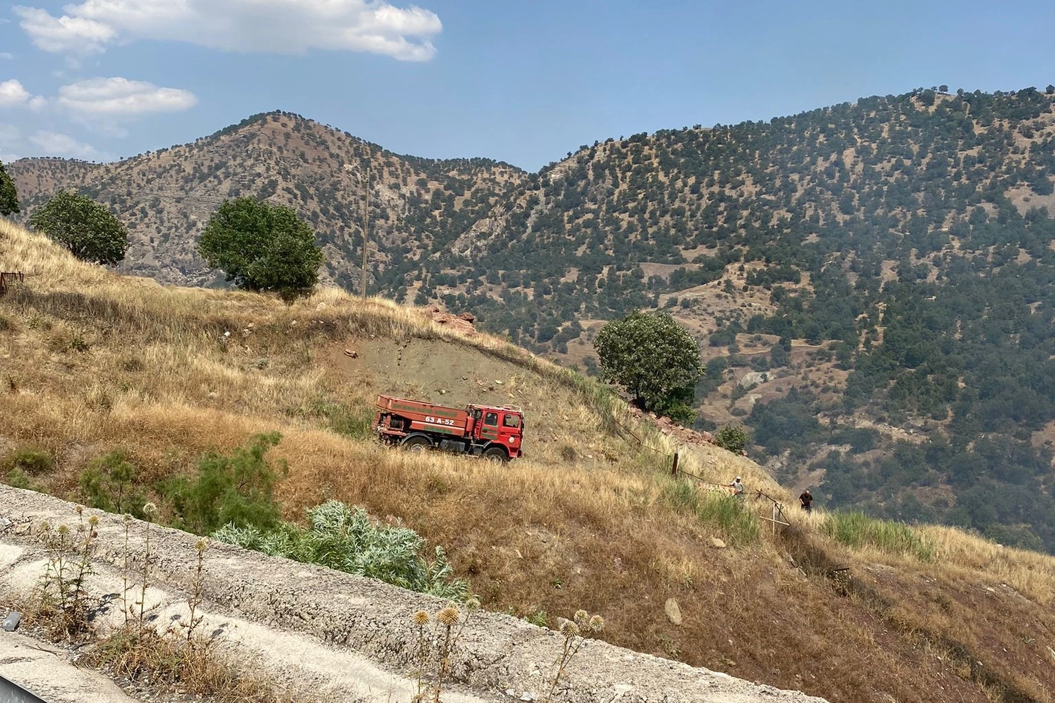 Siirt'te çıkan orman yangını kontrol altına alındı haberinin görseli