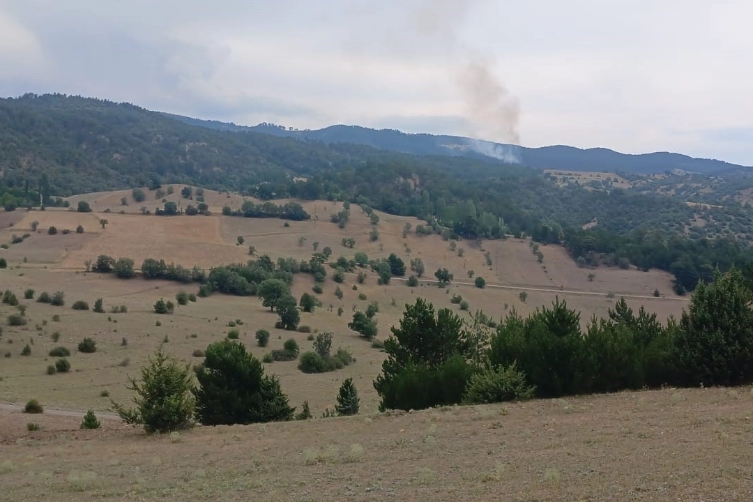 Çorum'da çıkan orman yangını kontrol altına alındı haberinin görseli