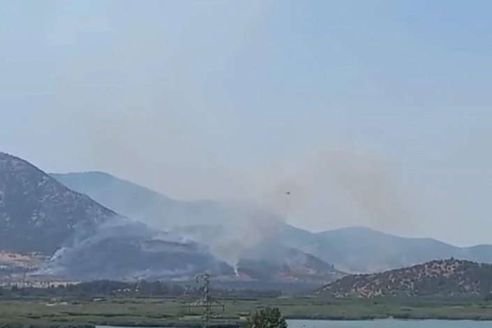 Selçuk'taki orman yangını kontrol altında haberinin görseli