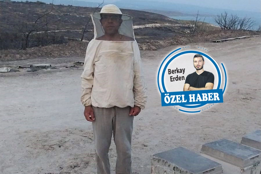 Çeşme’nin balı ziyan, arısı kayıp, kovanı yanık haberinin görseli