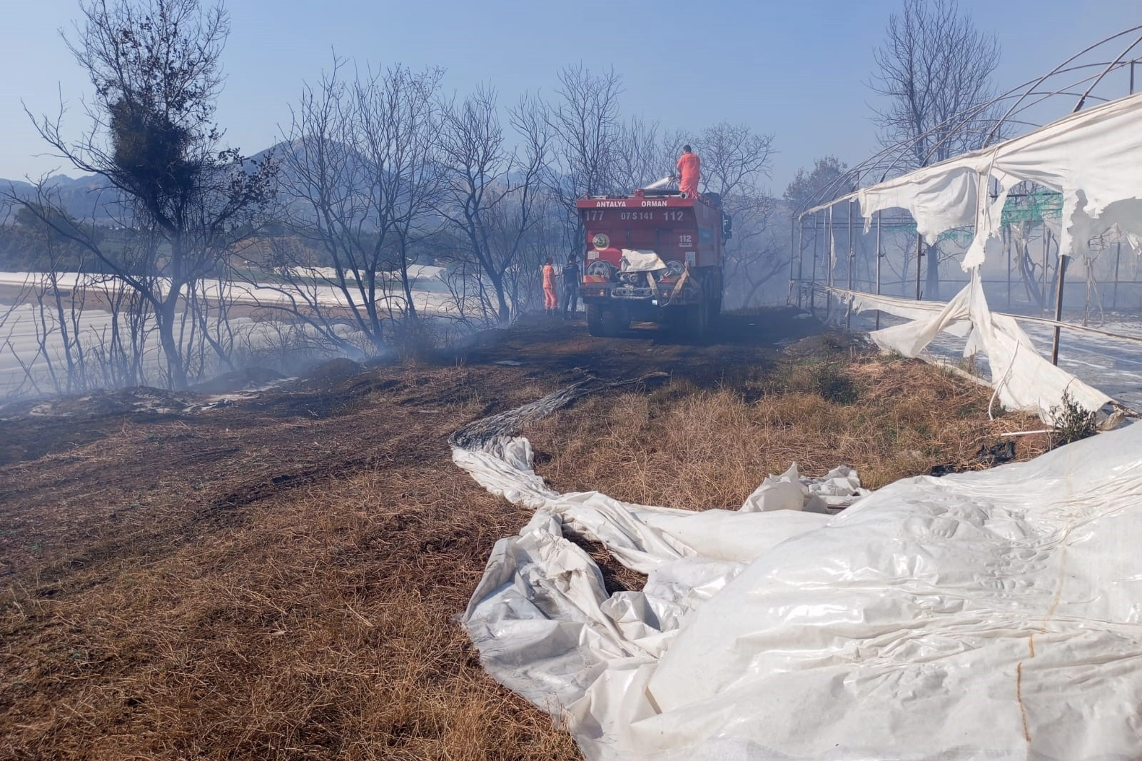Antalya’da korkutan yangın: Otluk alanda başladı, seraya sıçradı haberinin görseli