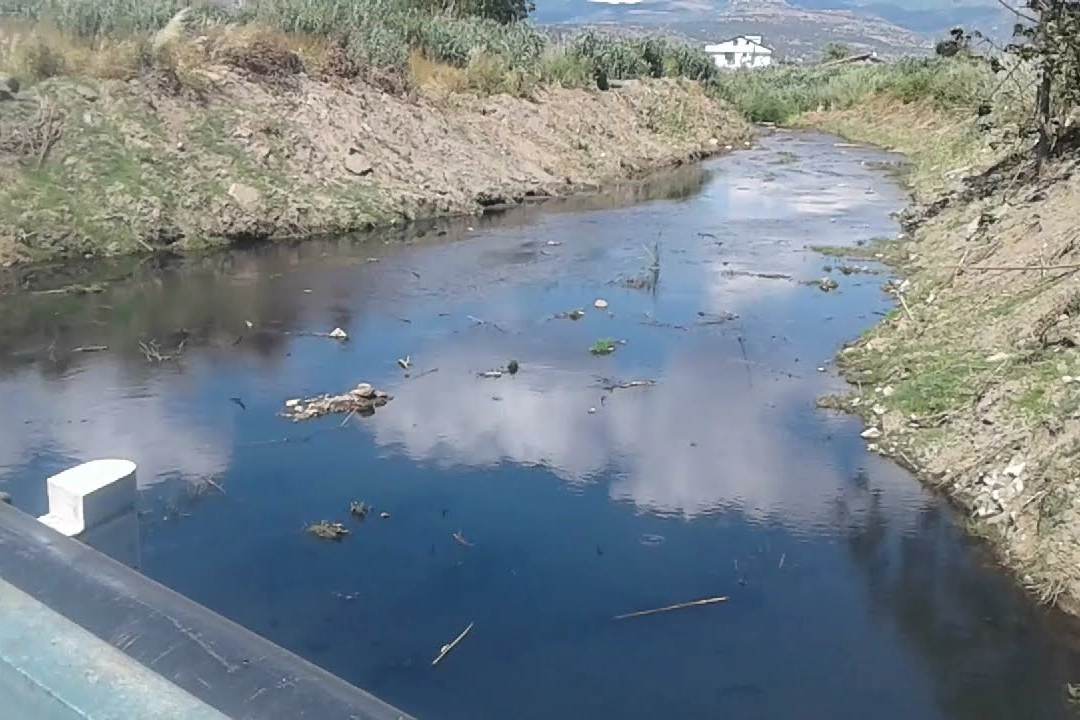 İzmir haber: Dikili'de vatandaşlar koku ve kirliliğe çözüm bekliyor