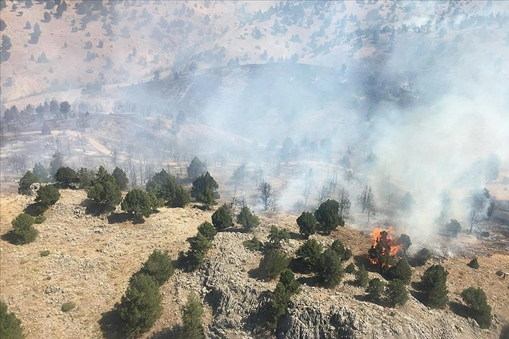 Kahramanmaraş'ta ormanlık alanda çıkan yangın söndürüldü