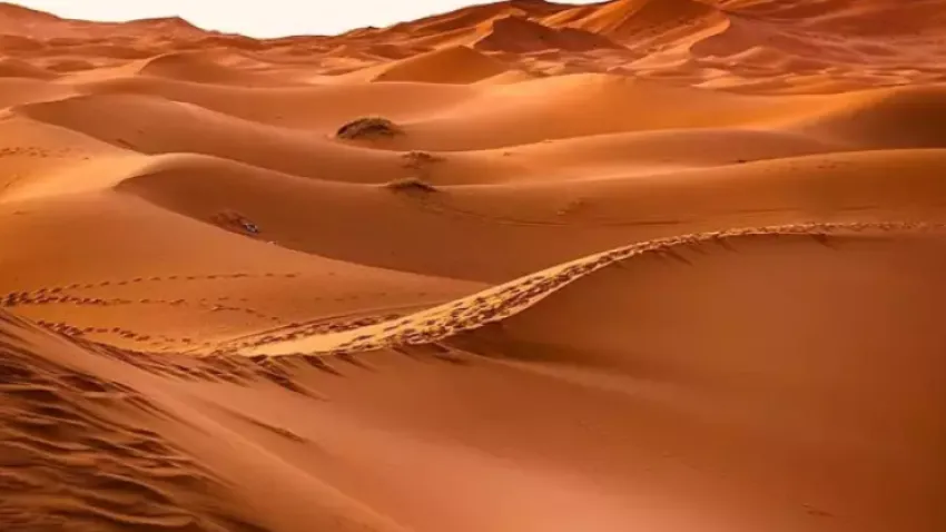 arabistan çölü
