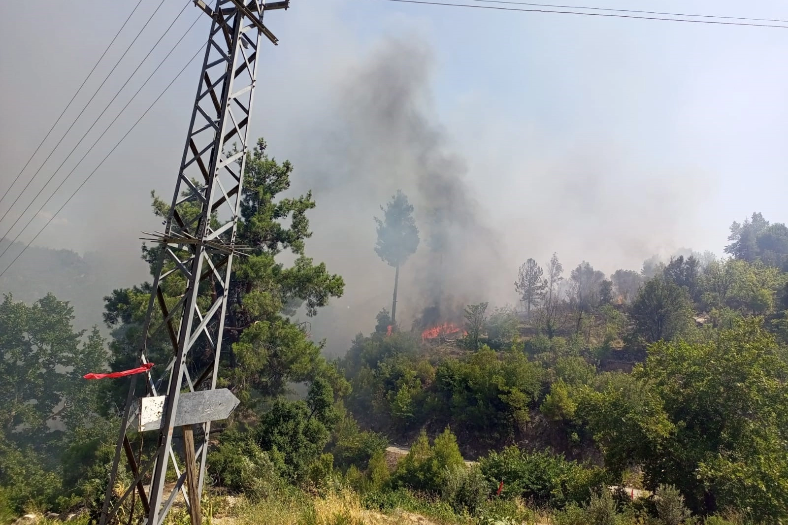 Muğla'da bir evden çıkan yangın ormana sıçradı  haberinin görseli