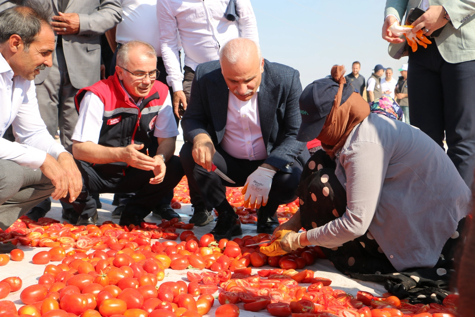 İtalyanların pizza sosu Diyarbakır'dan gidiyor haberinin görseli