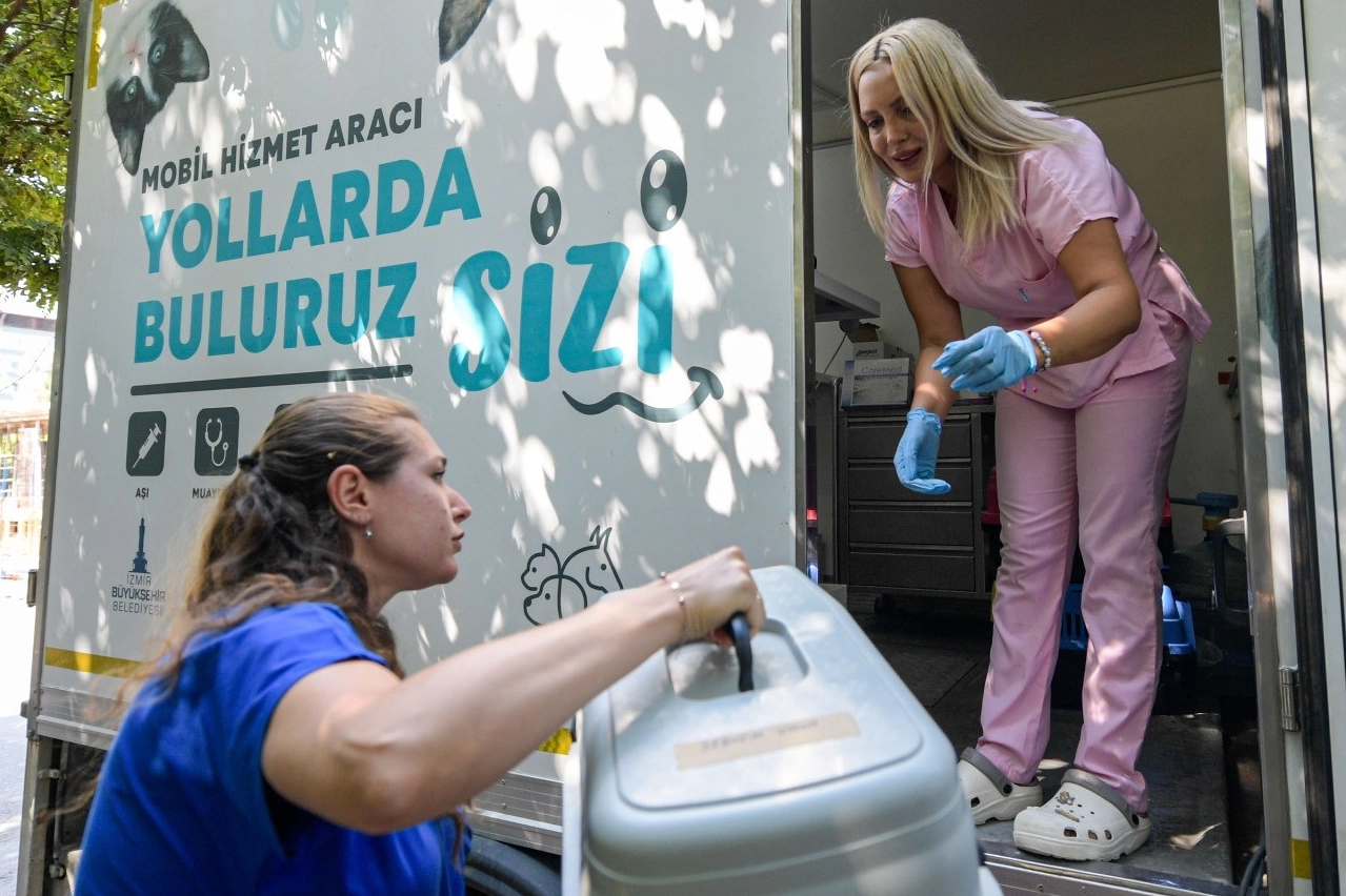 İzmir Büyükşehir, sokaktaki can dostları kısırlaştırıyor haberinin görseli