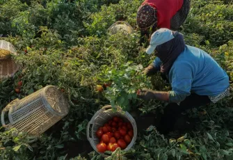 Onca emeğin karşılığı: 2 TL galerisinin önkapak görseli