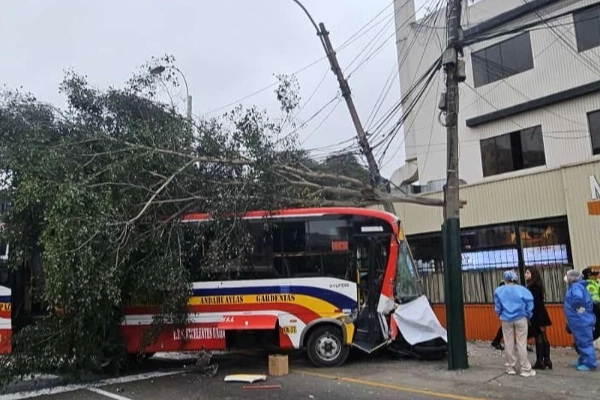 Peru’da kontrolden çıkan otobüs yaya geçidine daldı: 1 ölü, 31 yaralı haberinin görseli