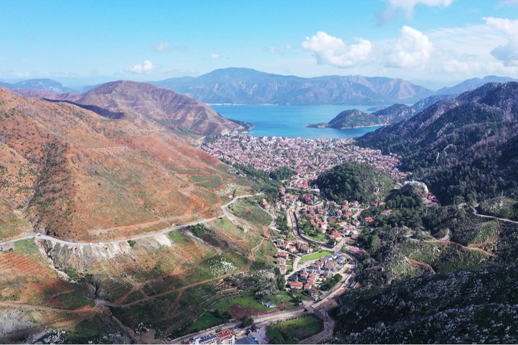 Muğla'da yangından etkilenen ormanlar yeniden canlanıyor