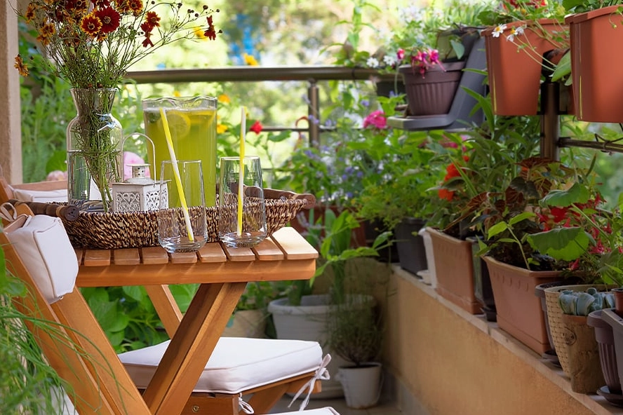 Yazın balkon ve bahçelerde hangi bitkiler tercih edilmeli? Yazın bitkilere nasıl bakılmalı?