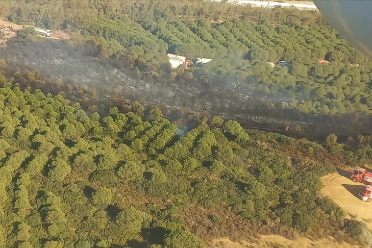 İzmir haber: Aliağa'da orman yangını