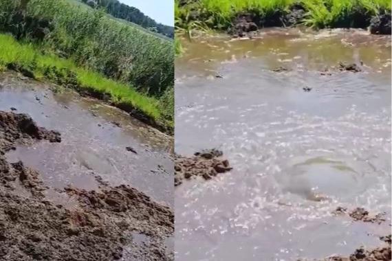 Denizli'de umut verici keşif: Yayla Gölü'ne can suyu