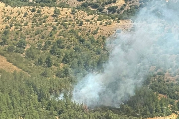 Balıkesir'de çıkan orman yangını kısa sürede söndürüldü