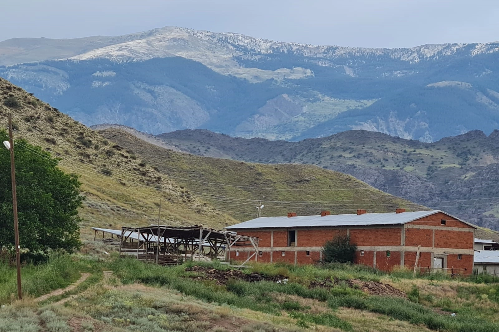 Erzurum beyaza büründü