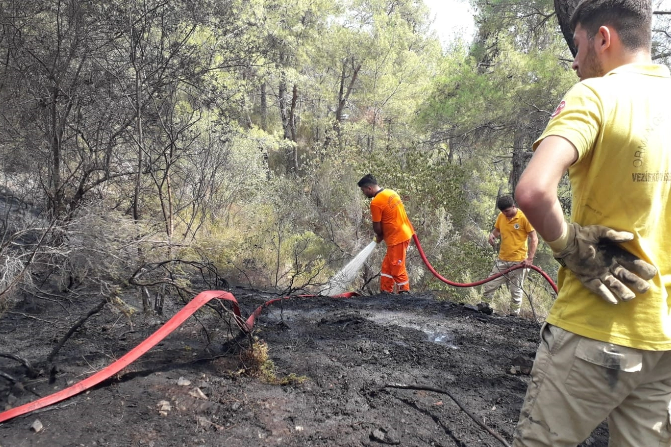 Kemer'de çıkan orman yangını kontrol altına alındı