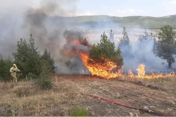 Denizli'de makilik alanda çıkan yangın kontrol altına alındı