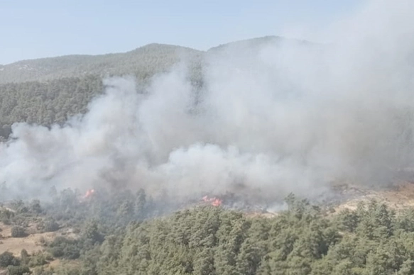 Muğla'daki orman yangınına müdahale sürüyor! haberinin görseli