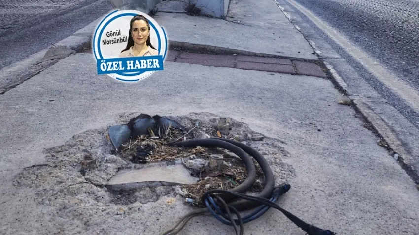 Daha kaç kişinin ölmesi gerekiyor!