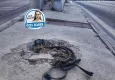 Daha kaç kişinin ölmesi gerekiyor!