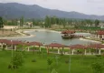 İzmir Ödemiş'te zeytinlik mahkemeden satılık