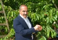 Kiraz ihracatı 209 milyon dolara ulaştı