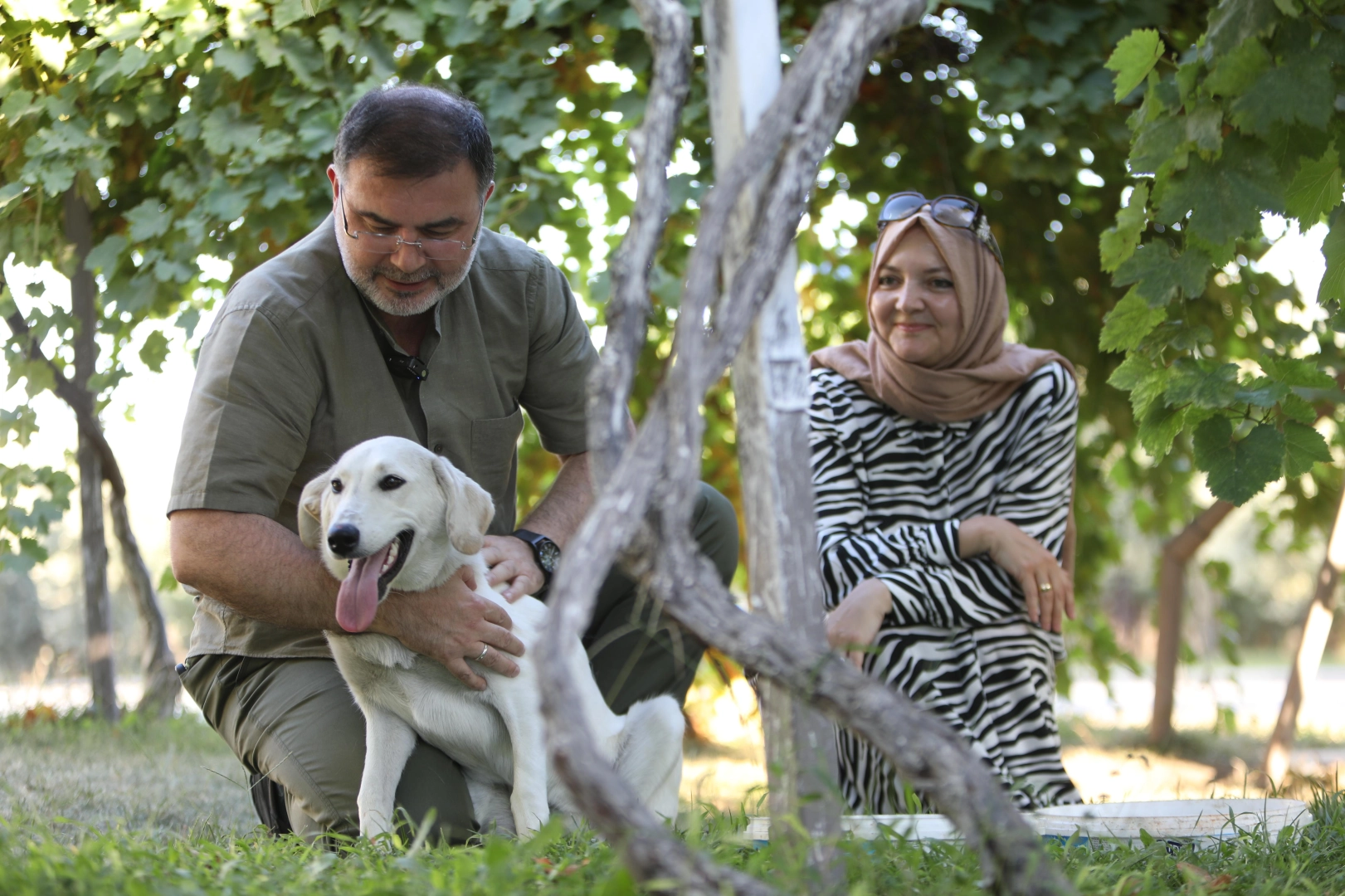 AK Parti İzmir İl Başkanı Bilal Saygılı, iki sokak köpeğini sahiplendi