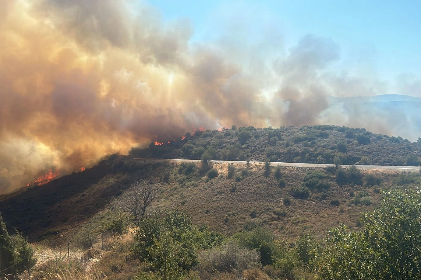 İzmir'de ormana sirayet eden yangına havadan ve karadan müdahale