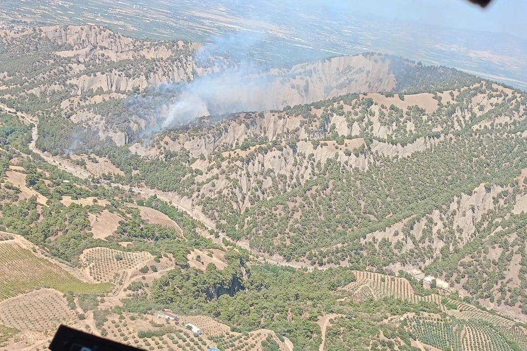 Manisa’da orman yangını