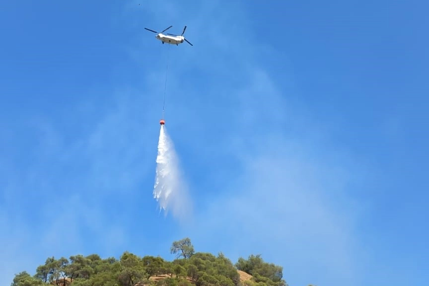 Manisa’daki orman yangınına müdahale devam ediyor