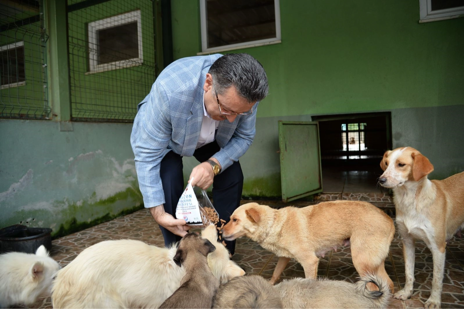 Trabzon'da sahipsiz köpek sorunu için  dev adım: Yeni barınaklar ve mama tesisi açıldı