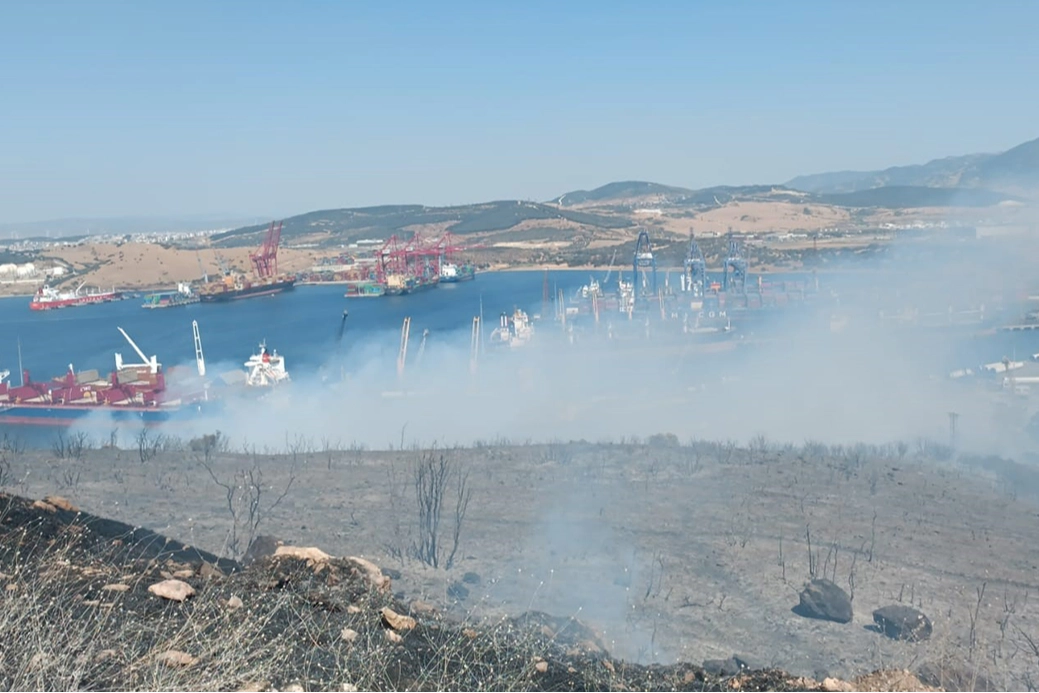 İzmir haber:  Aliağa'da orman yangını haberinin görseli