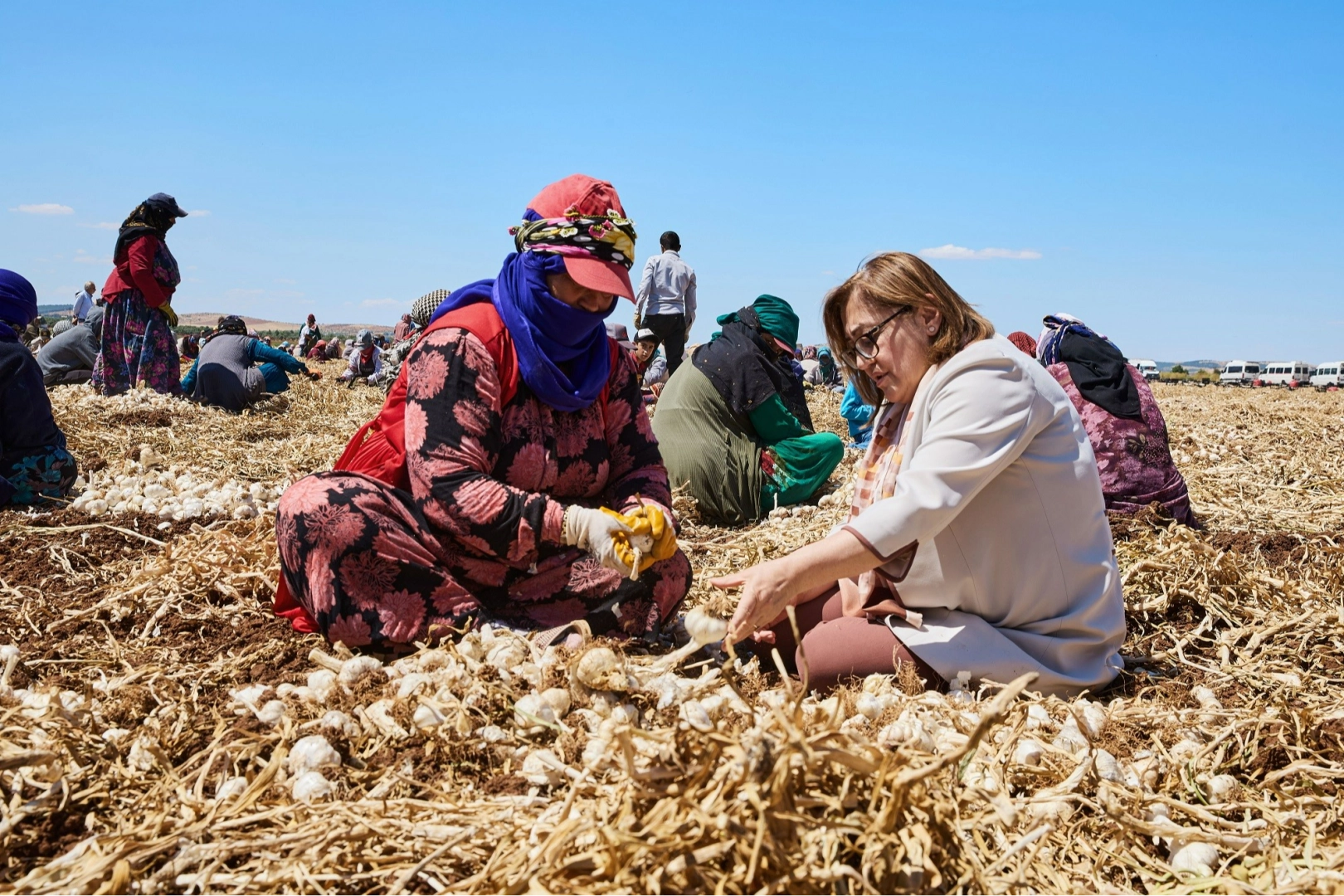 Gaziantep Büyükşehir çiftçi ile tüketiciyi buluşturacak