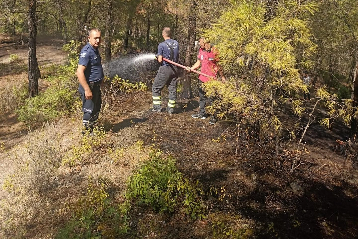 Hatay'da orman yangını!