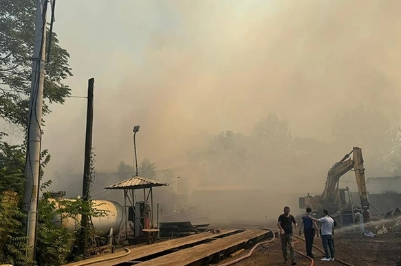 Bursa'da otluk alanda çıkan yangına müdahale ediliyor