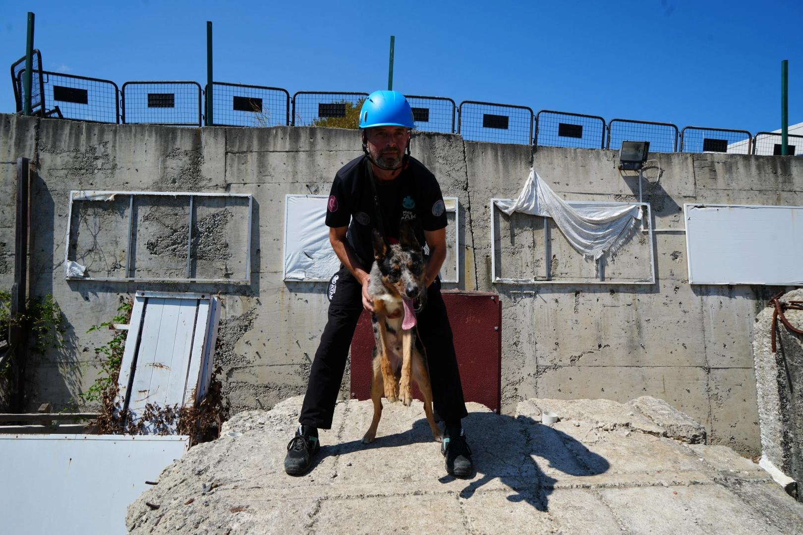 Arama-kurtarma köpeği Shollie afetlere zorlu eğitimlerle hazırlanıyor