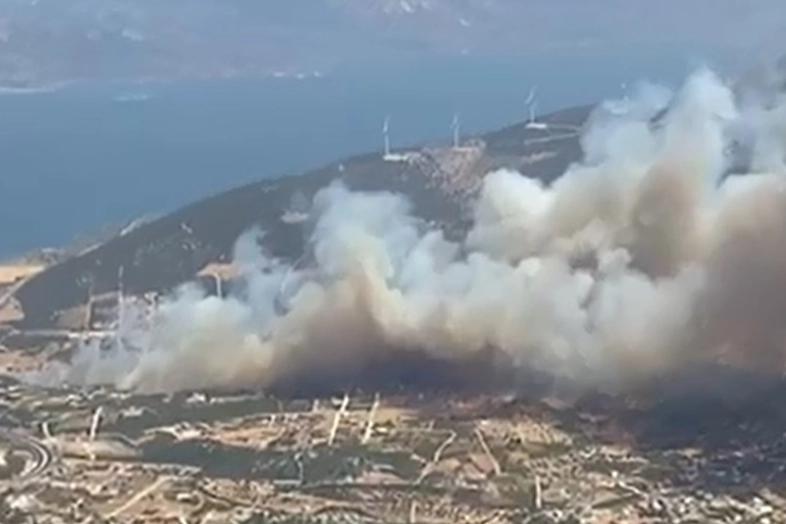 Didim'de makilik alanda yangın