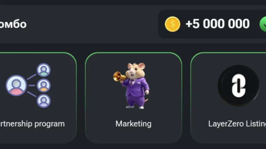 Hamster Kombat Günlük Combo 16 Ağustos 2024