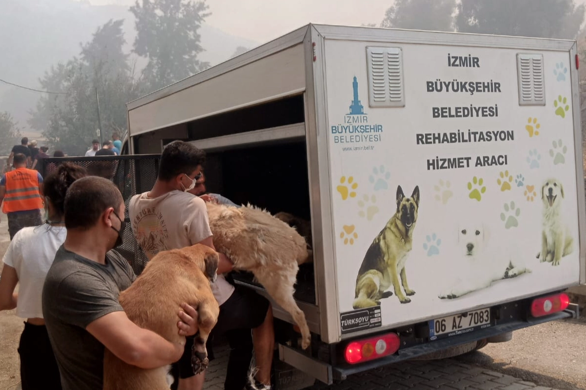 Yardım çağrısı gerçeği yansıtmıyor, barınak boşaltılıyor