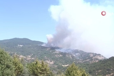 Karşıyaka'daki yangına havadan ve karadan müdahale sürüyor