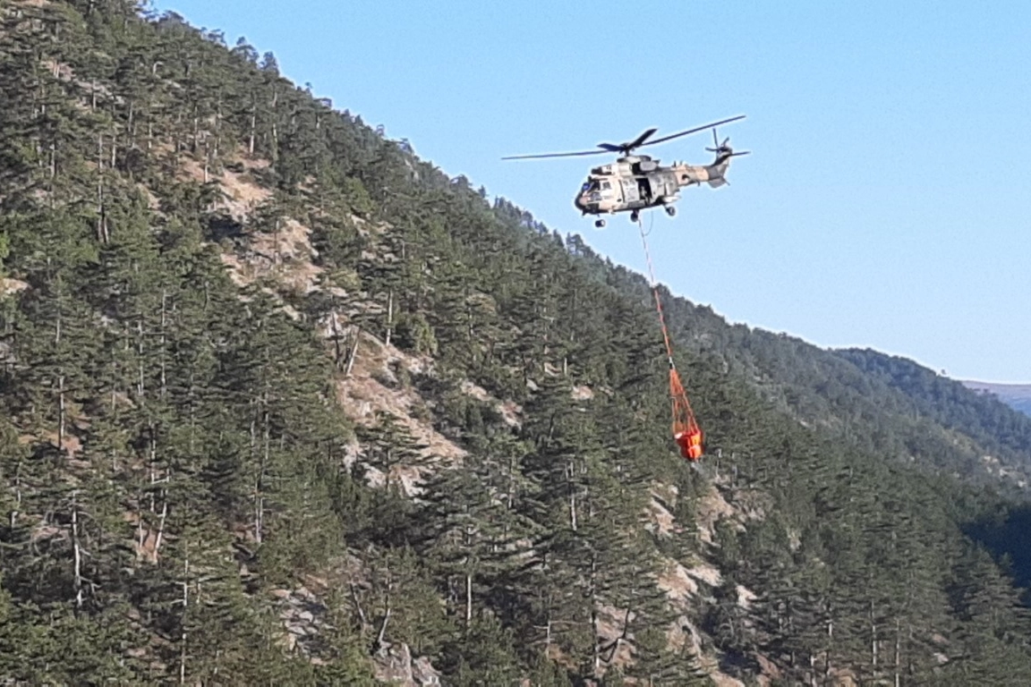 Bolu'da yangına müdahale günün ilk ışıklarıyla tekrar başladı