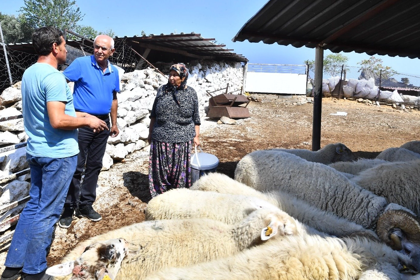 İzmir'de yangından etkilenen köylerin yaraları sarılıyor