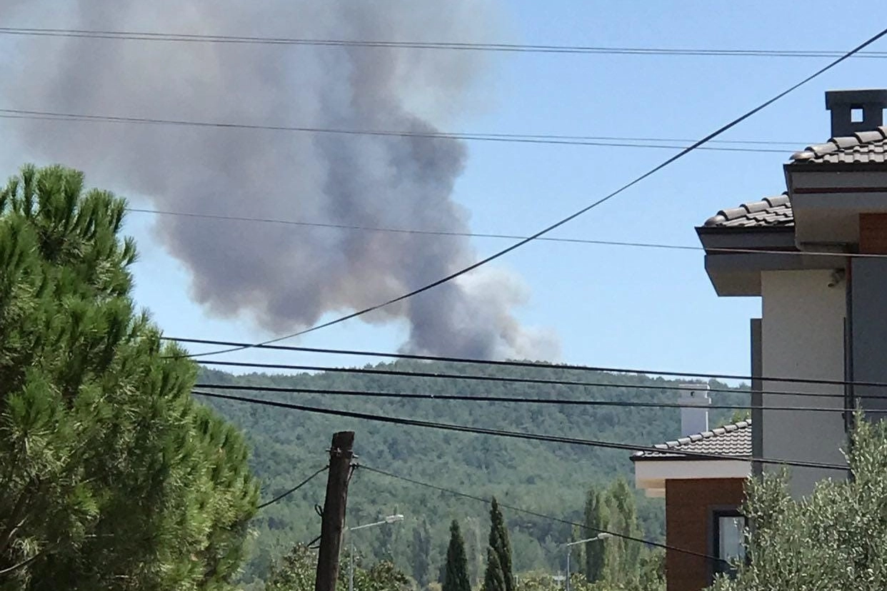 Muğla'da eş zamanlı orman yangını