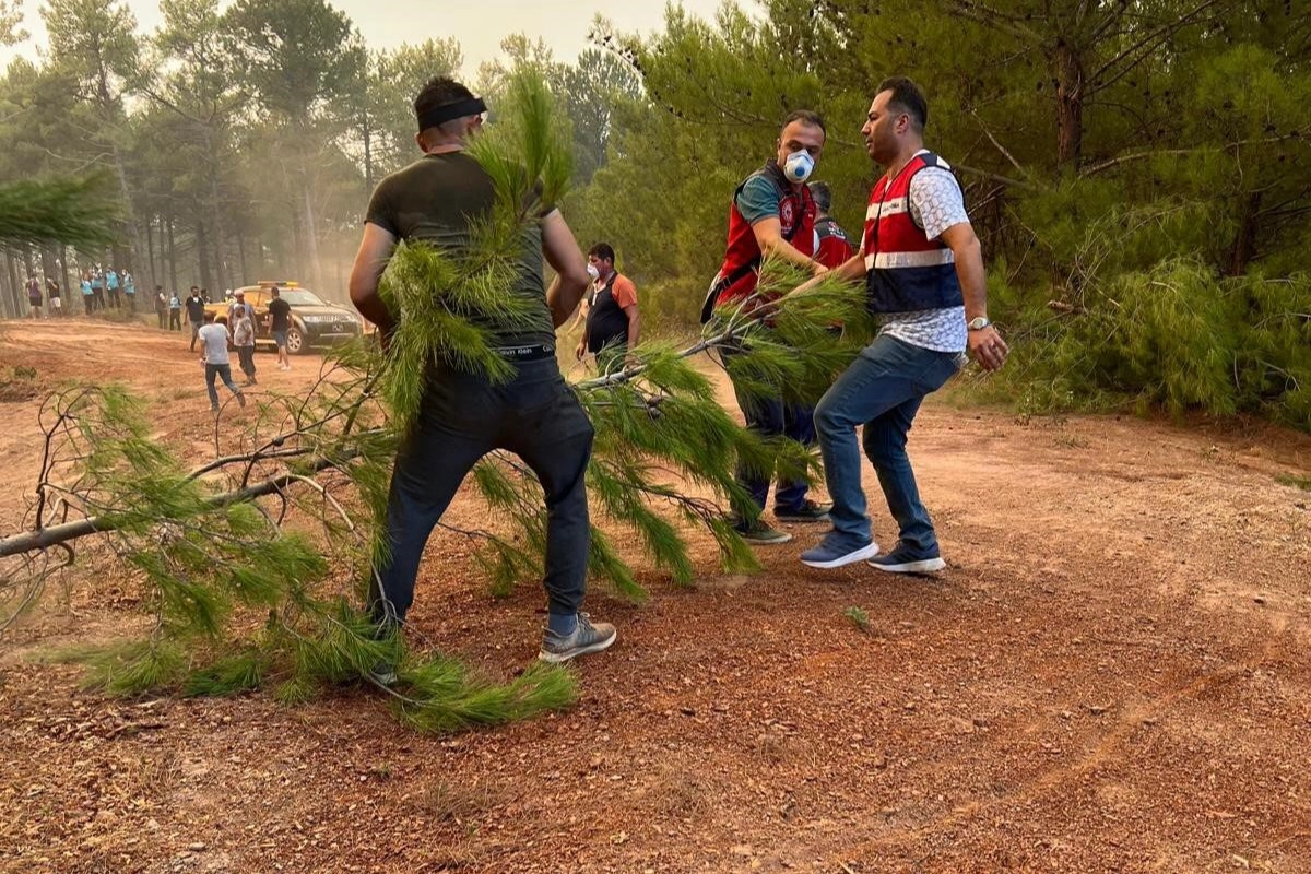 Muğla'daki yangınlar çiftçiyi de vurdu: Hayvanlar tahliye ediliyor zeytinlikler zarar gördü haberinin görseli